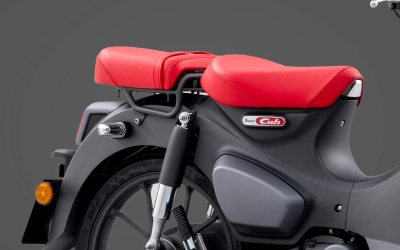 Passenger Seat Bracket* & Pillion Step