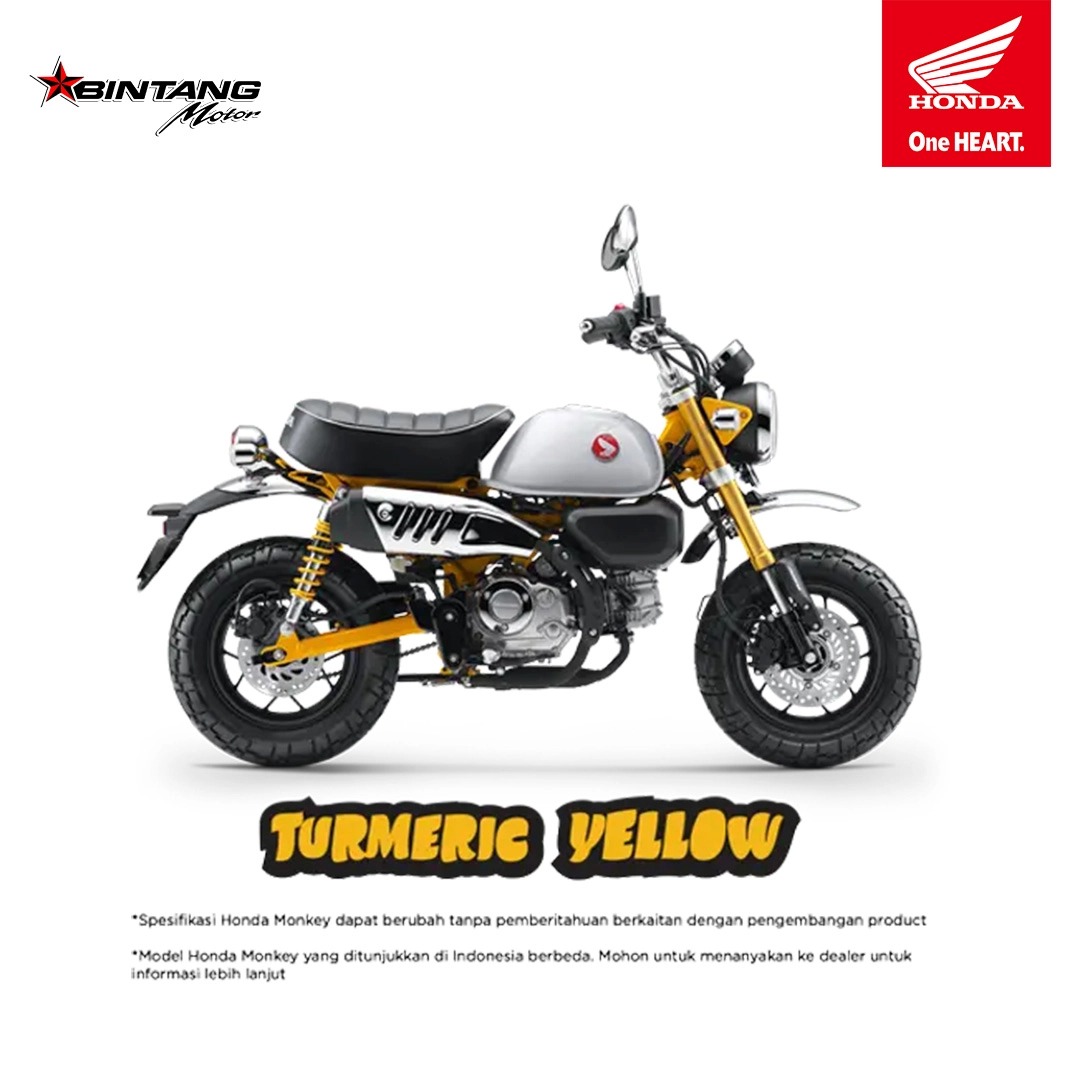 Warna Turmeric Yellow