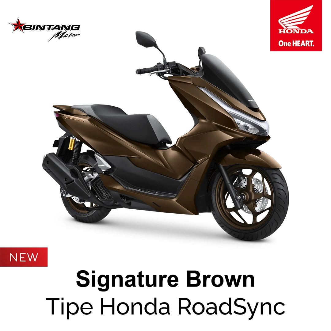 Warna Signature Brown