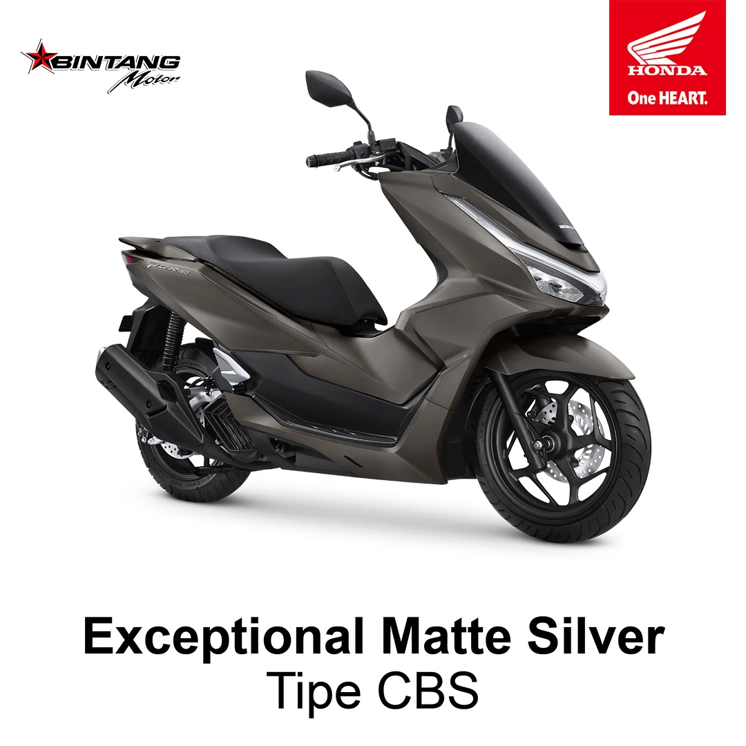 Warna Exceptional Matte Silver