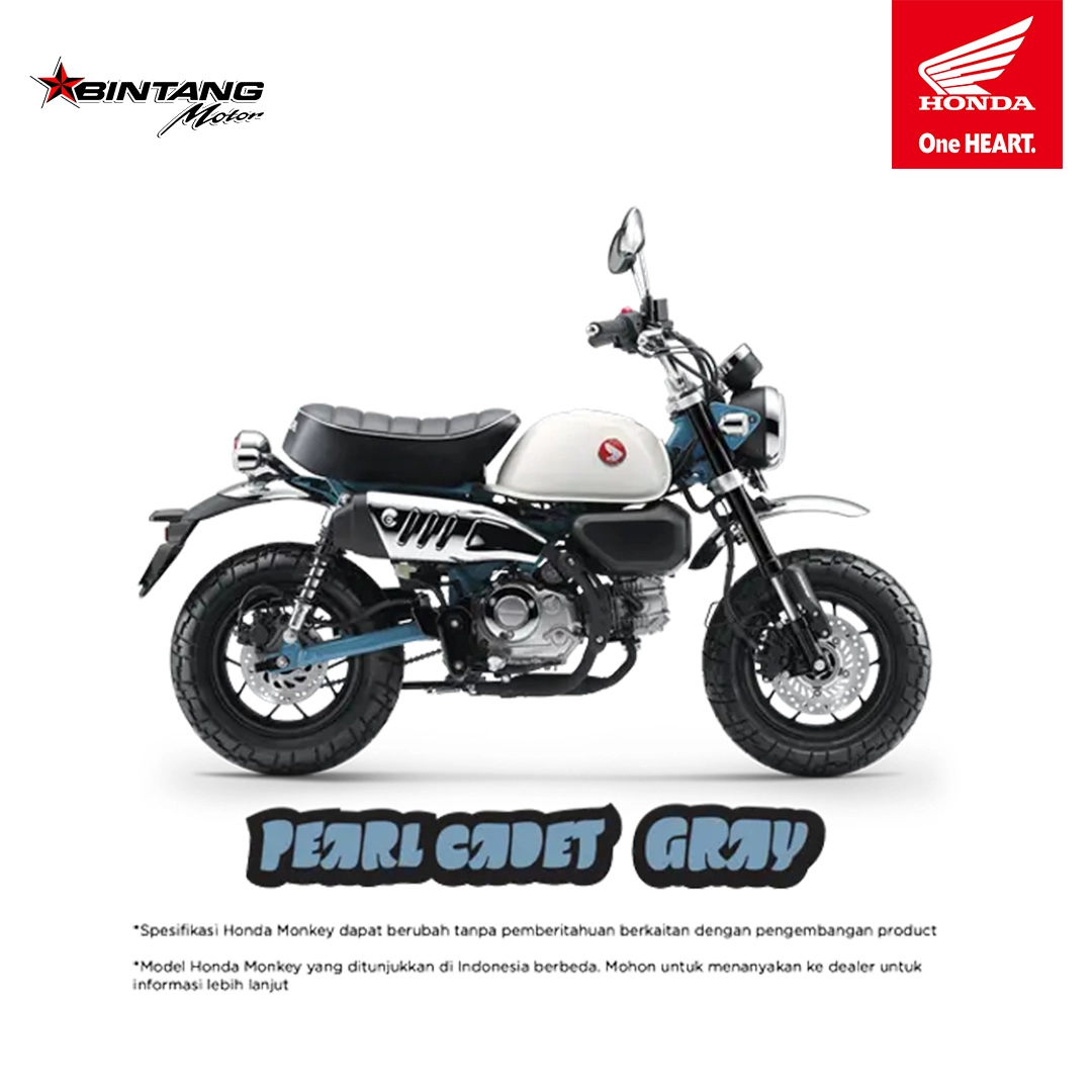 Warna Pearl Cadet Gray