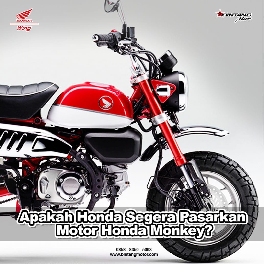 Apakah Honda  Segera Pasarkan Motor  Honda  Monkey  Honda  