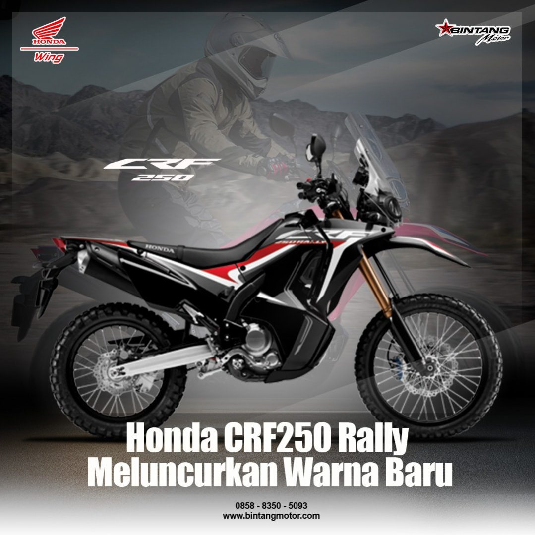 Honda CRF250 Rally Meluncurkan Warna  Baru Honda Bintang 